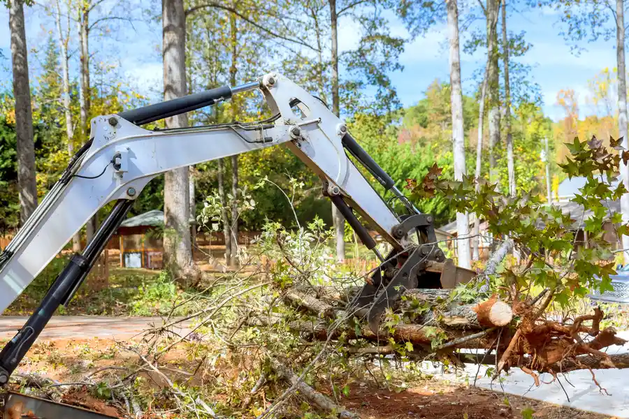 Excellent Land Clearing Service Taylor, TX