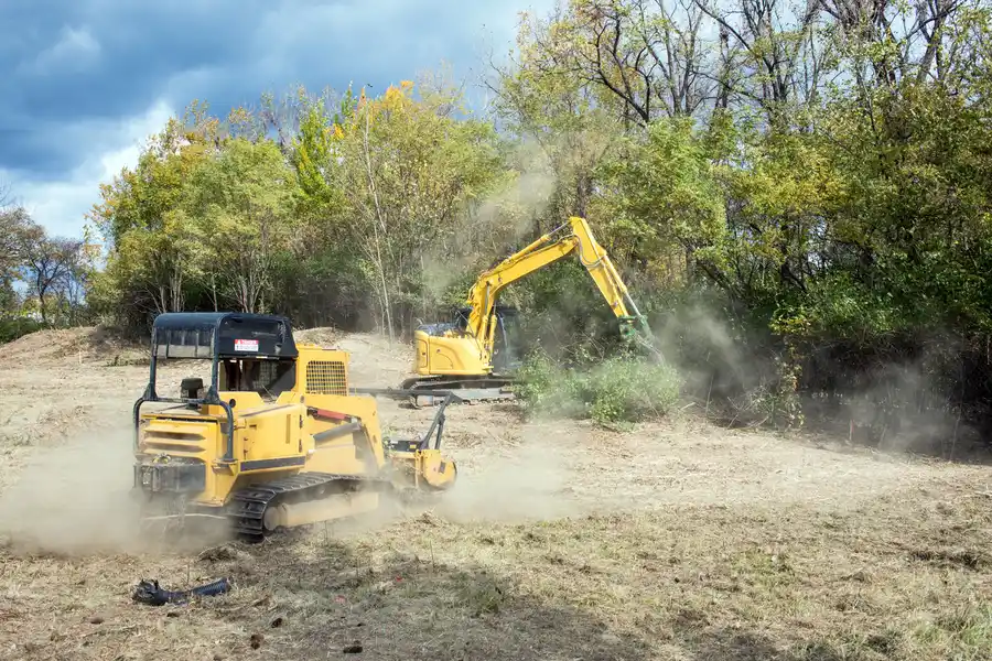 Expert Land Clearing Service Taylor, TX