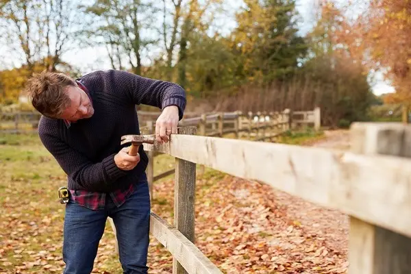 Fence Repair