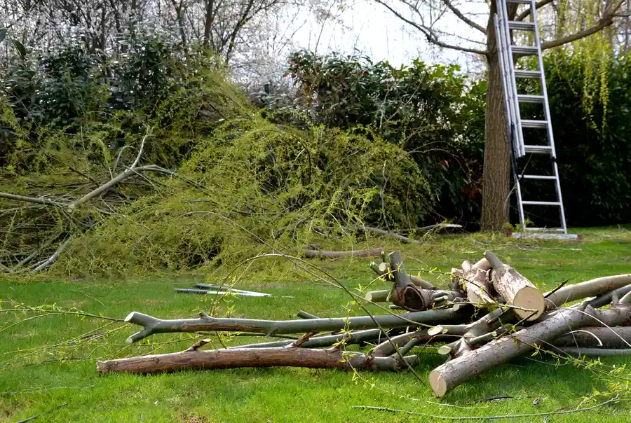 Understanding The Role Of Permits In Land Clearing in Taylor, TX